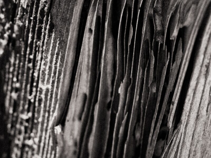 Filing System | David Goehring | CC BY 2.0