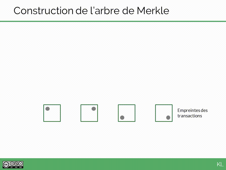 Construction de l'arbre de Merkle